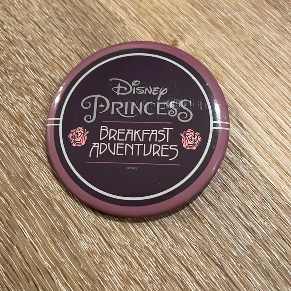 Disney Princess Pin